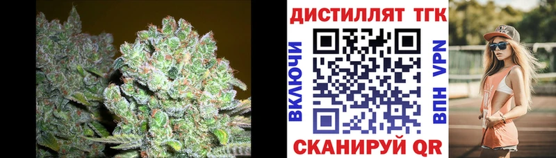 где купить наркотик  Лукоянов  Дистиллят ТГК THC oil 