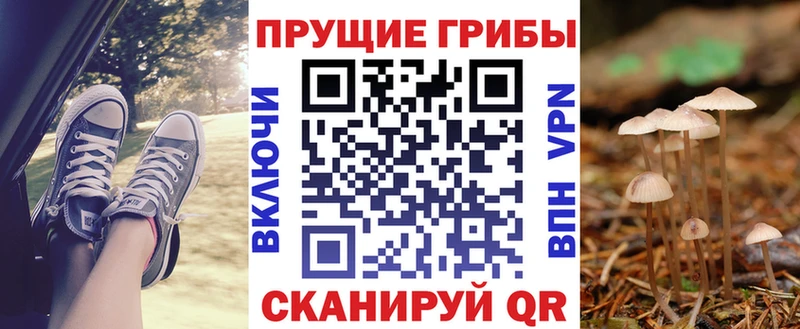 наркота  Лукоянов  Псилоцибиновые грибы Cubensis 